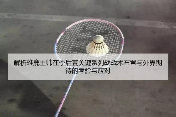 解析雄鹿主帅在季后赛关键系列战战术布置与外界期待的考验与应对